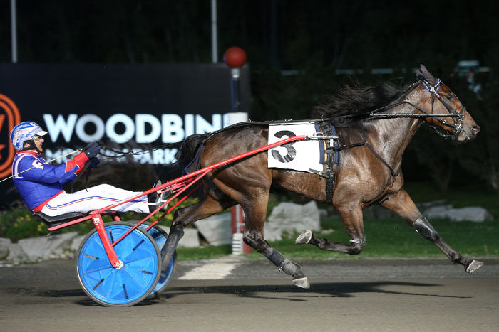 Few fireworks as the freshman trotters wrap things up