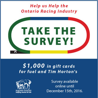 Equine Guelph: Racing industry survey 