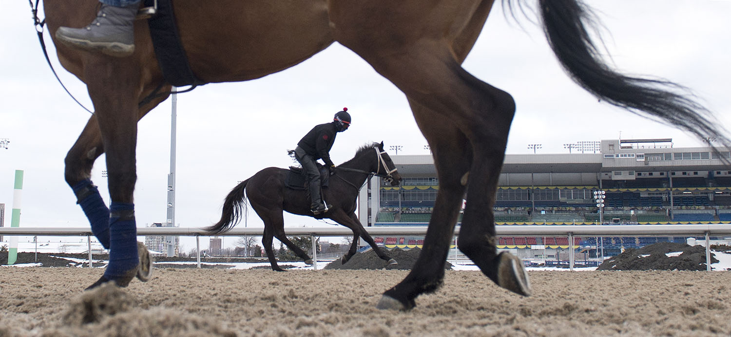 Woodbine’s 63rd year of Thoroughbred racing kicks off on Saturday