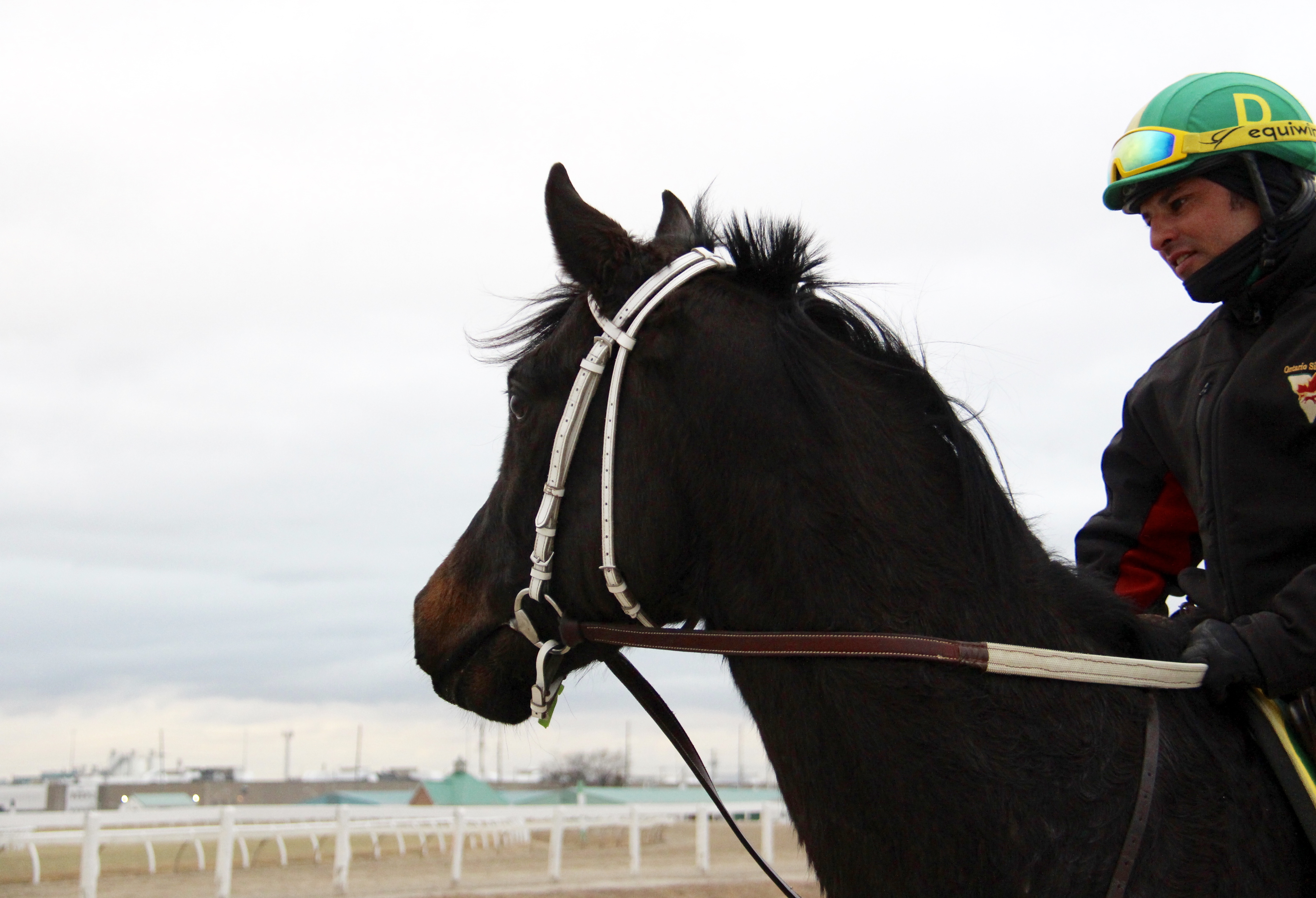 Optimism and opportunity