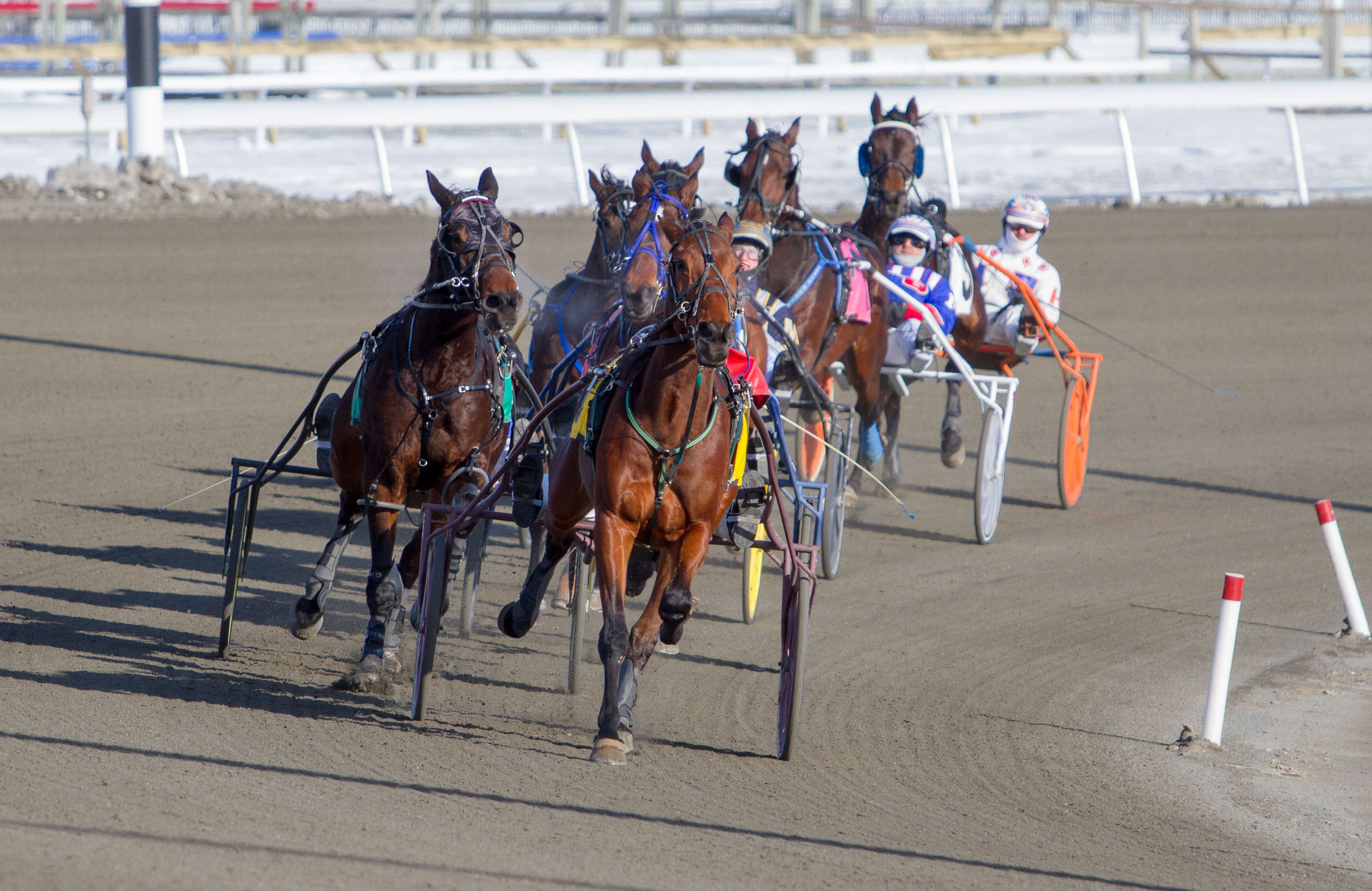 2018 Woodbine Standardbred season starts Saturday