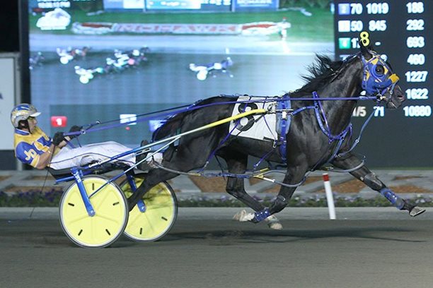 Betting Line makes it seven straight at Georgian Downs