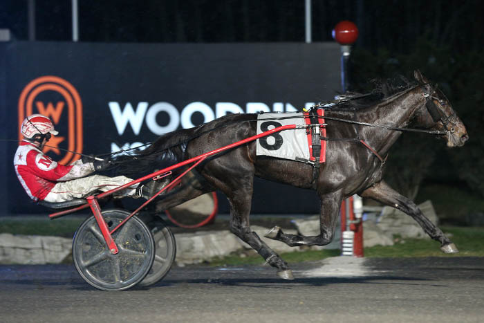 Road to the Ontario Sires Stakes: The sophomore season