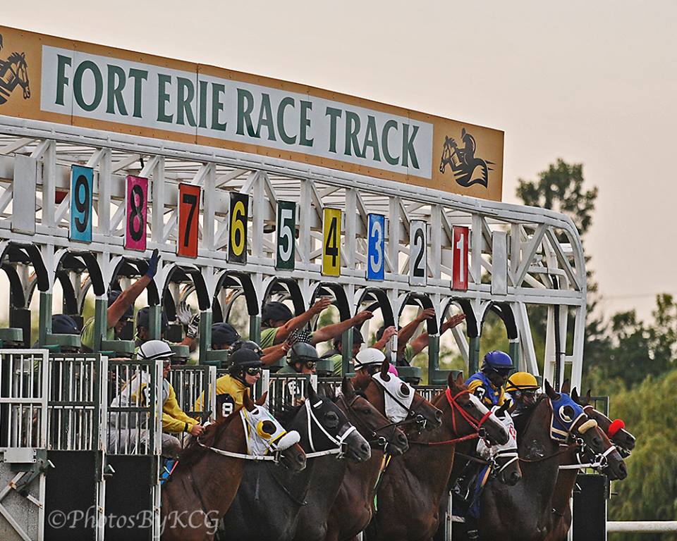 New FELRC Board Members