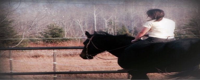 For the Love of Racing - The Horse That Changed My Life...with Sarah Wincikaby