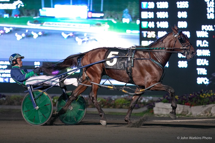 Woodbine stakes nominations due today