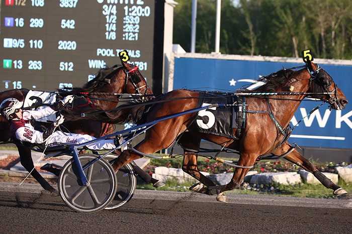 Plenty of star power in Saturday’s Preferred at Mohawk Park