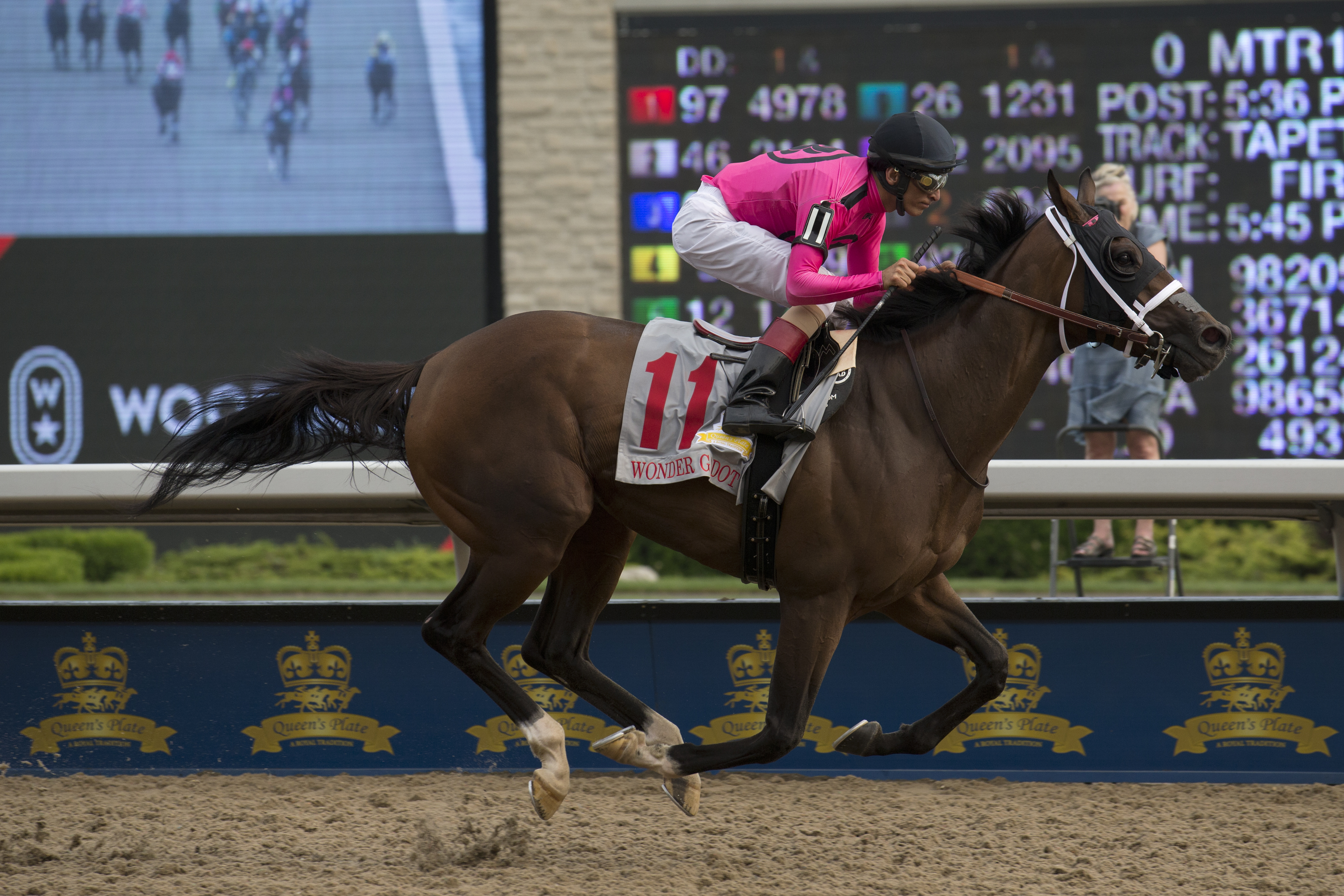 Wonder Gadot headlines field for Prince of Wales Stakes