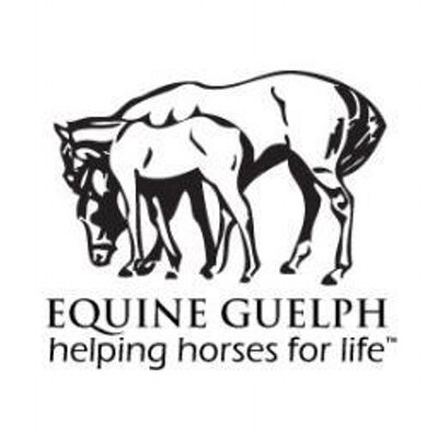 Equine Guelph quiz: How will your horse’s risk of colic change this spring?