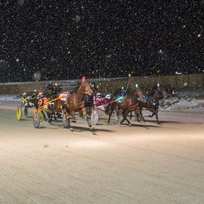 Winter storm forces cancellations at Mohawk Park & Western Fair
