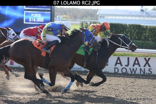 A Lot at Stake: Ontario Quarter Horse Stakes Schedule 2016