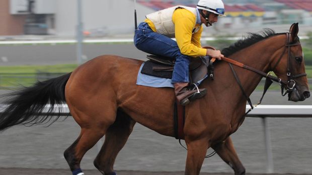 Ontario horse racing: “Everyone wants it to work”