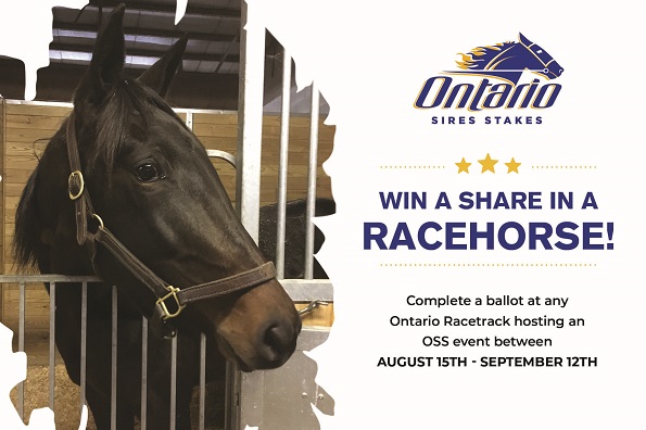 “Win a Share in a Racehorse” - Contest Announcement