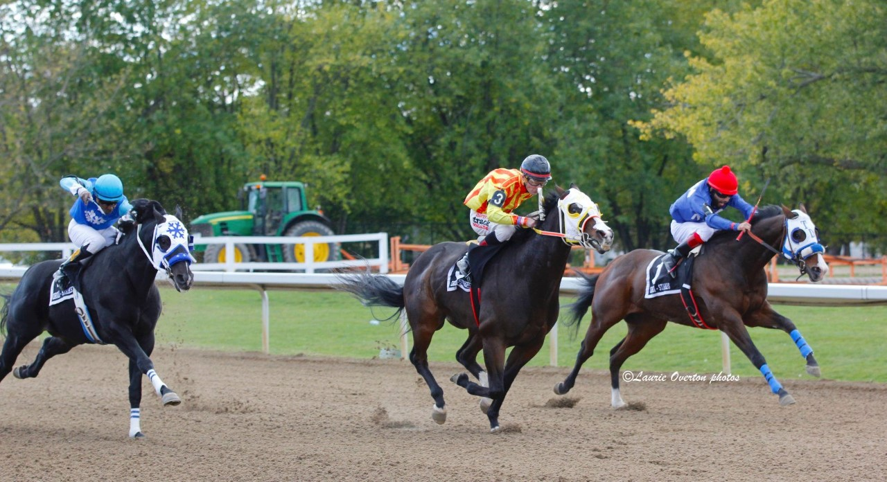 Country Boy 123 excels in Alex Picov Championship