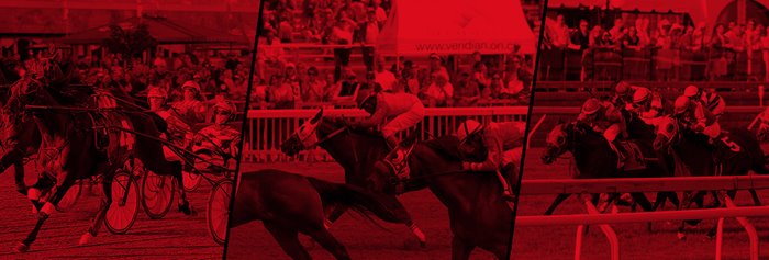 Ontario Racing Launches Online Consultation Portal