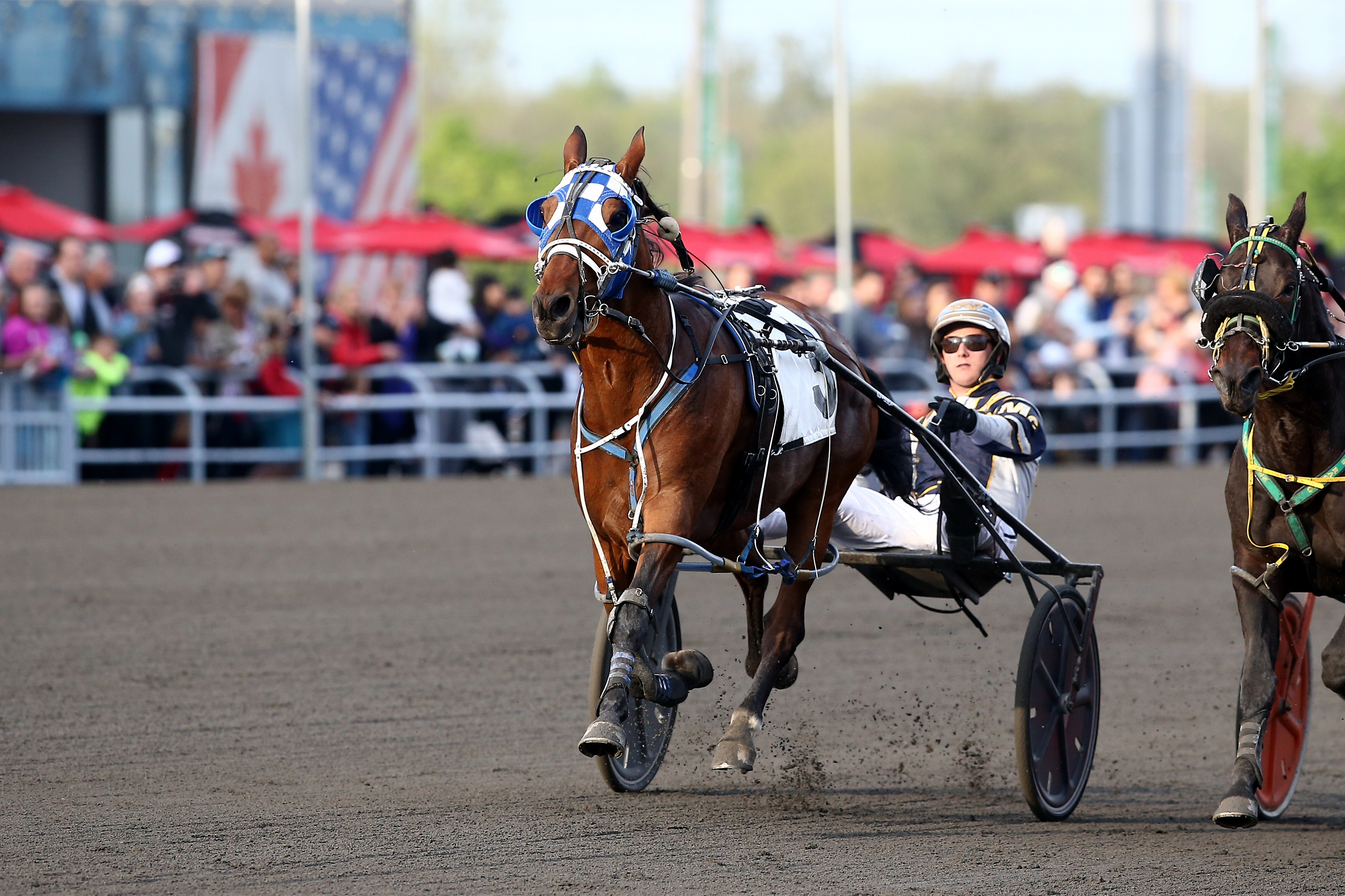 Nominations close Monday for Ontario Sired Autumn Series