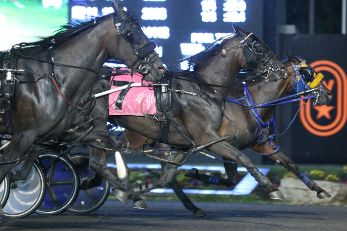 Play The Bell triumphs in return to OSS action