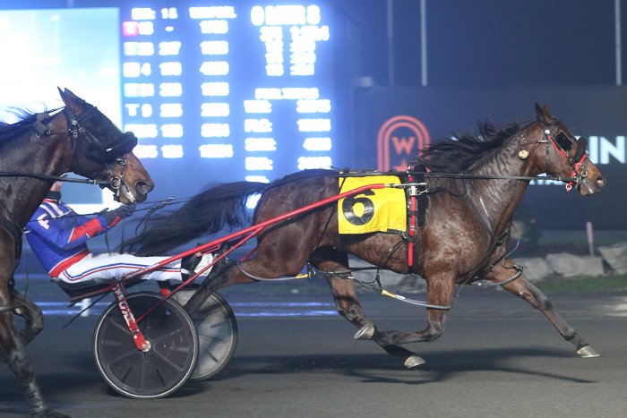 Kendall Seelster repeats in Preferred