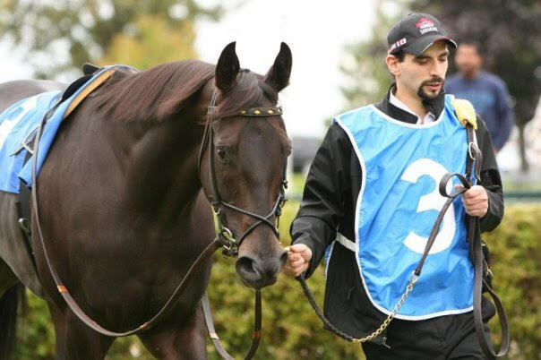 The horse that changed my life: Corey Fraser and Starticus