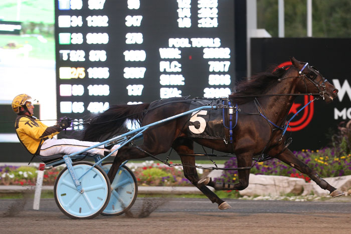 Pretty Handsome will take perfect record into Semi-Finals