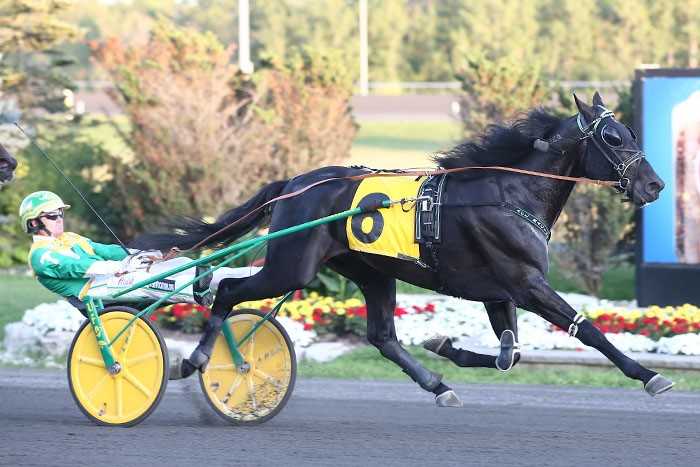 $1.6 million ‘Pacing Derby’ and Maple Leaf Trot card set