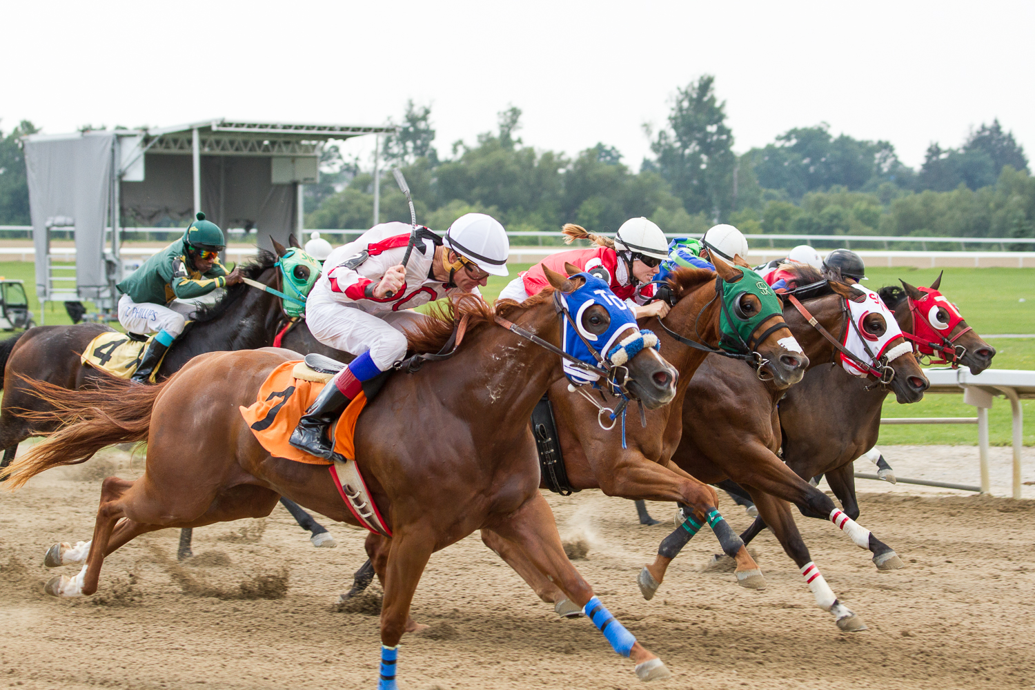 50 years of Travel Day at Ajax Downs; $50,000 Futurity for 2-year-olds
