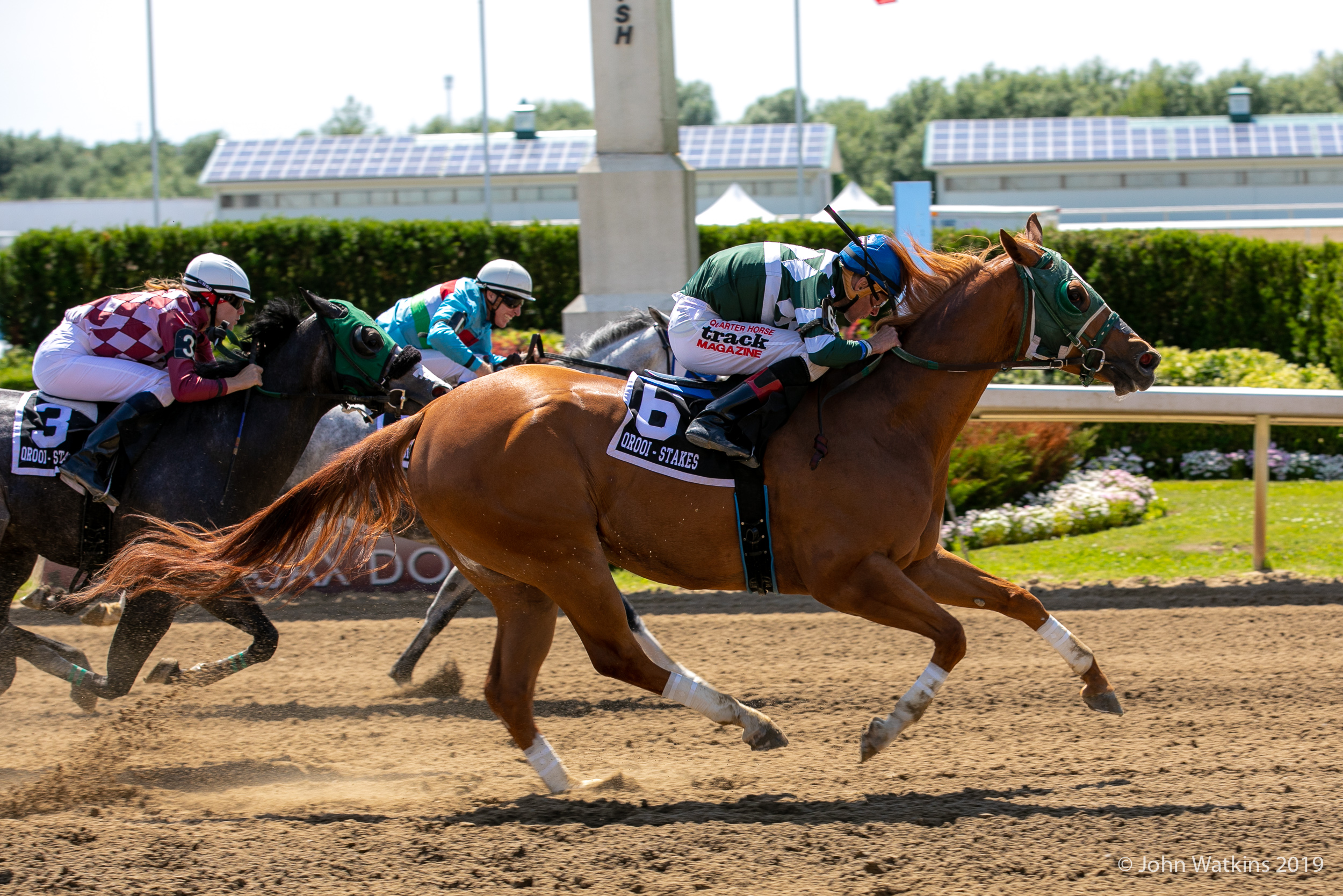 Fiesty Icon Wins Maturity In Front of Huge Ajax Downs Crowd