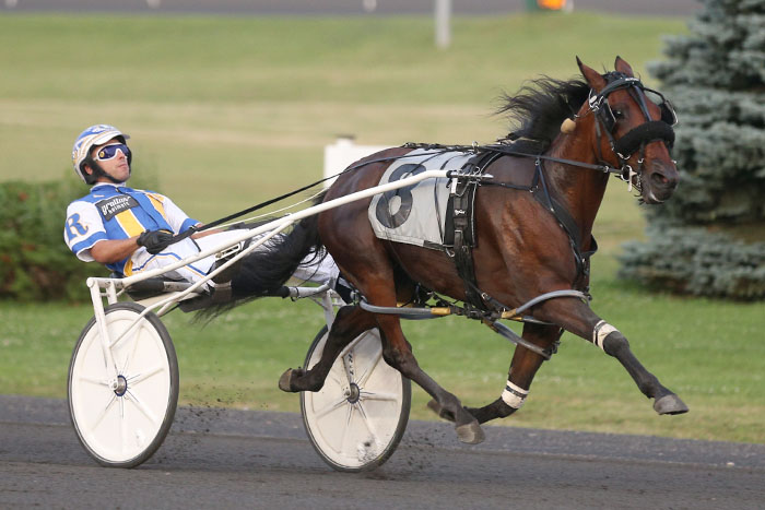 Ontario Sired stars front and centre on the sales stage