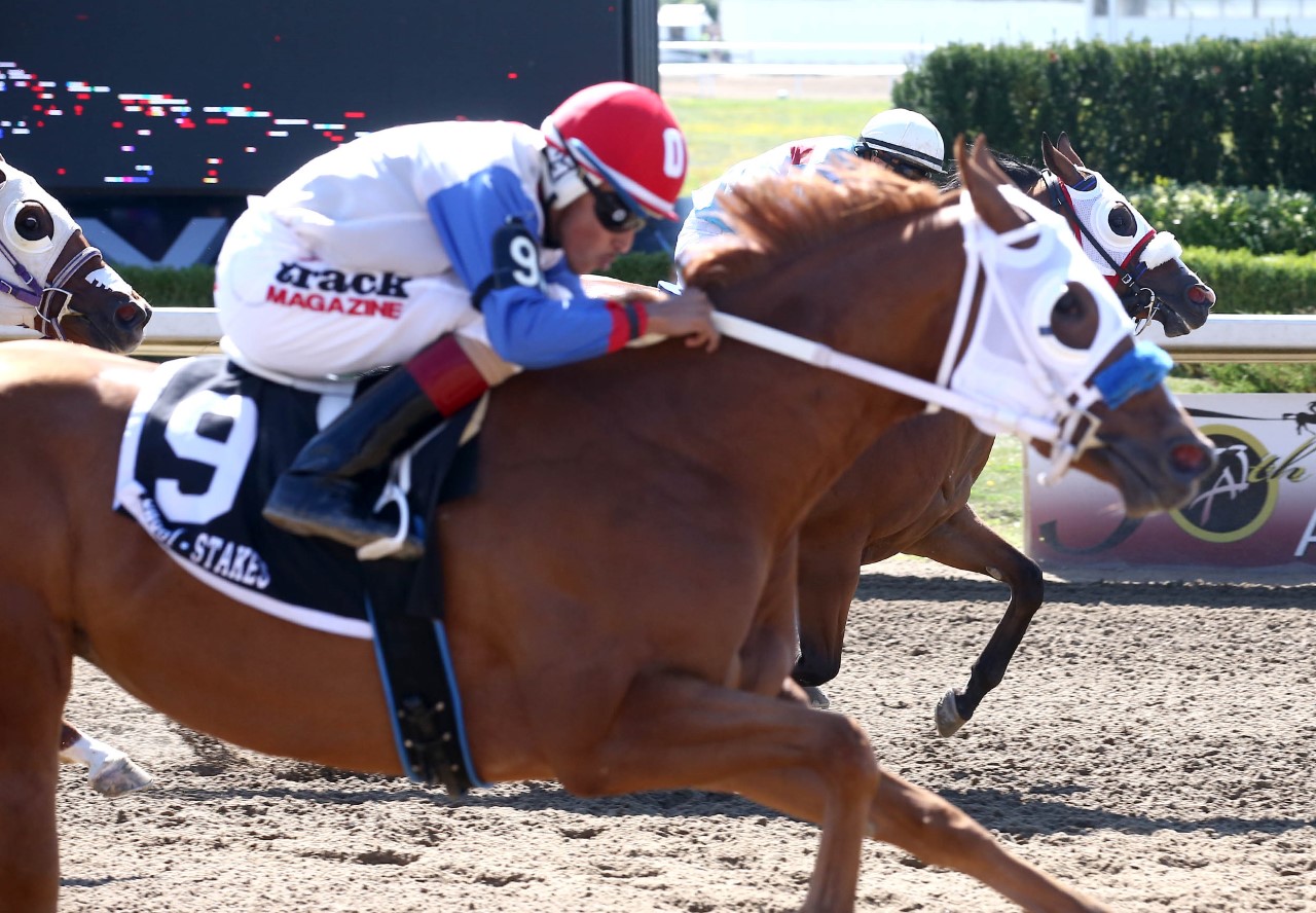 11 to 1 filly runs away with Ontario Sires Stakes Futurity