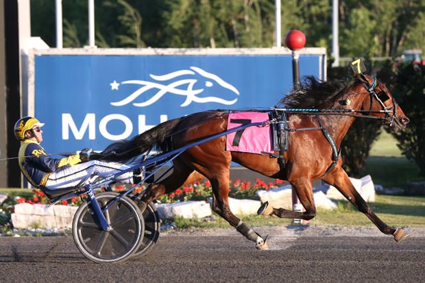 Caprice Hill and Emoticon Hanover triumph in season opener