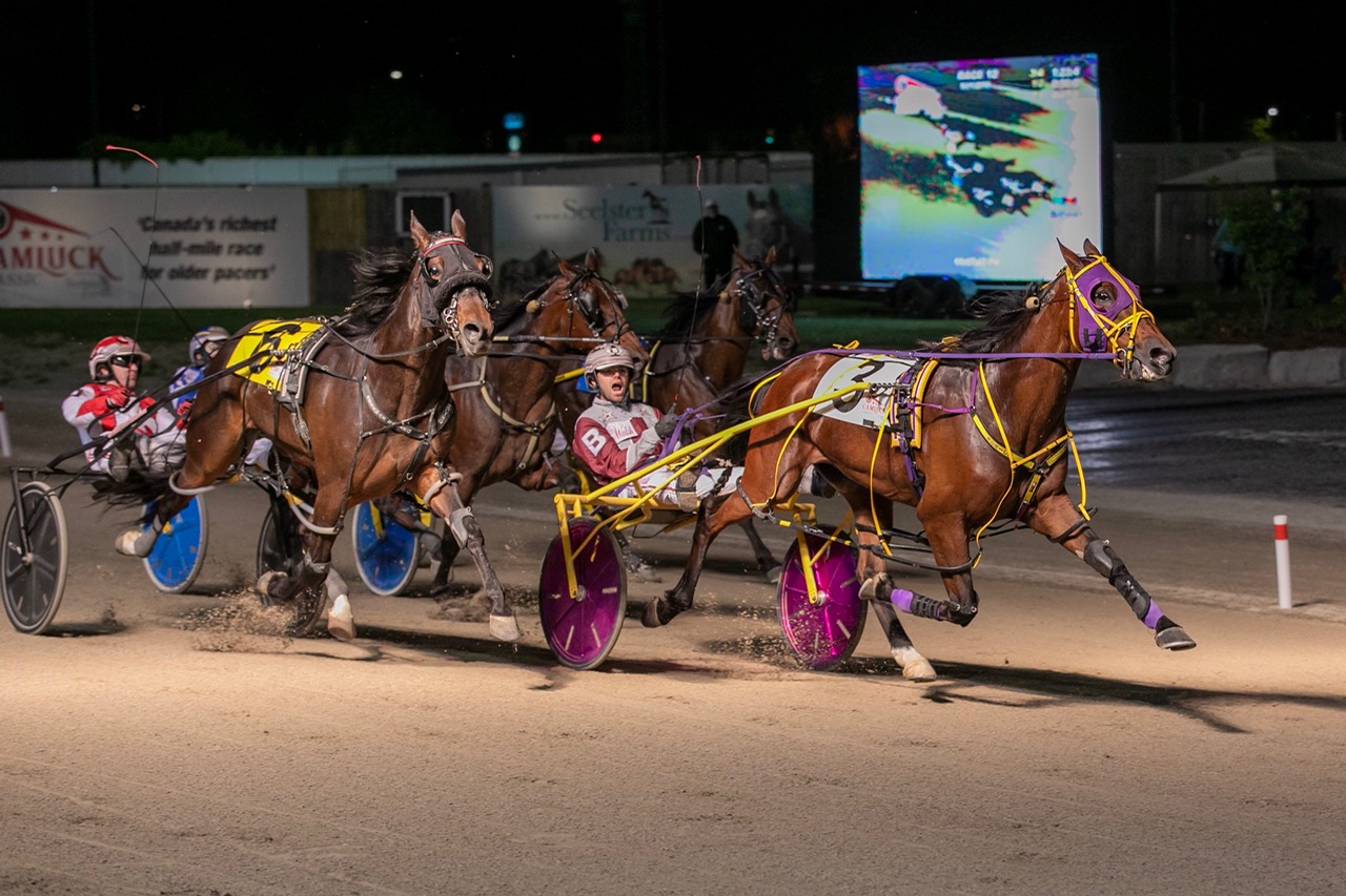 Increased Attendance And Handle On Camluck Classic Card