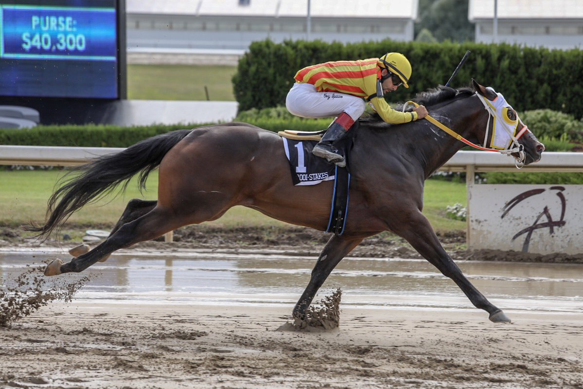 Country Boy 123 and Had to be Ivory Renew Rivalry in Picov Maturity