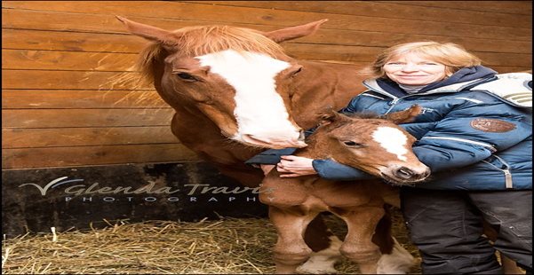 Quarter Horse Style - Friday's For the Love of Racing