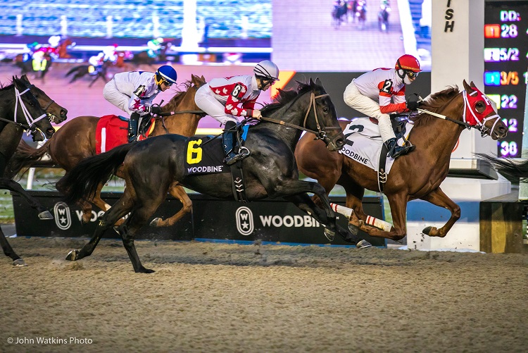 Woodbine Entertainment and HPBA Finalize 4-Year Agreement