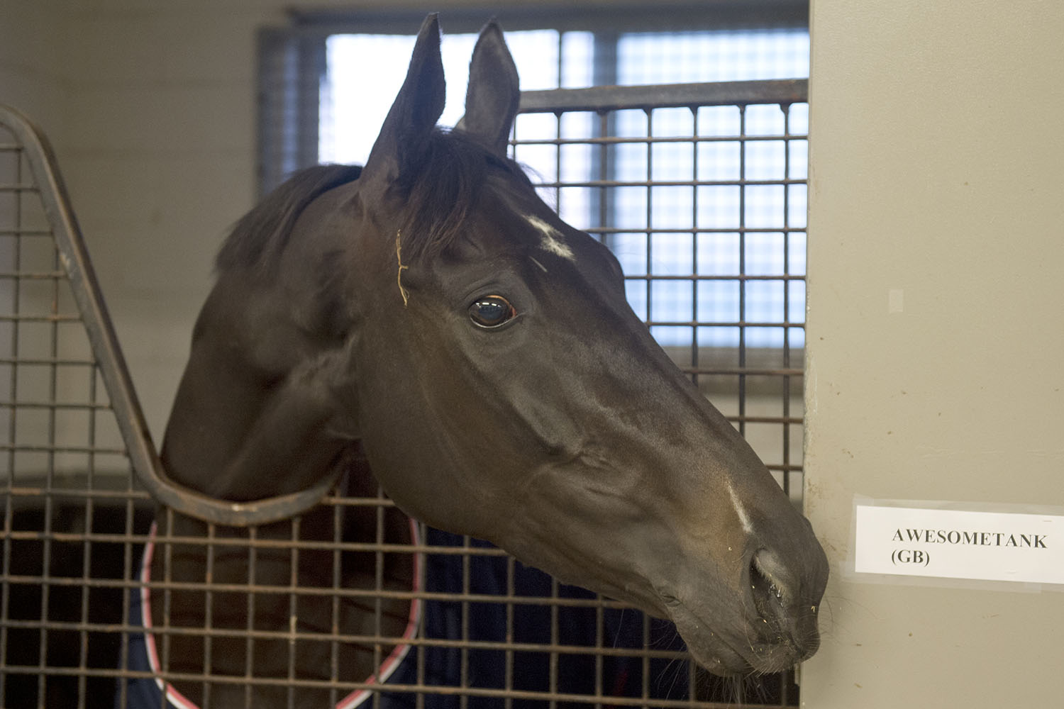 Ricoh Woodbine Mile notes for Tuesday, Sept. 10, 2019