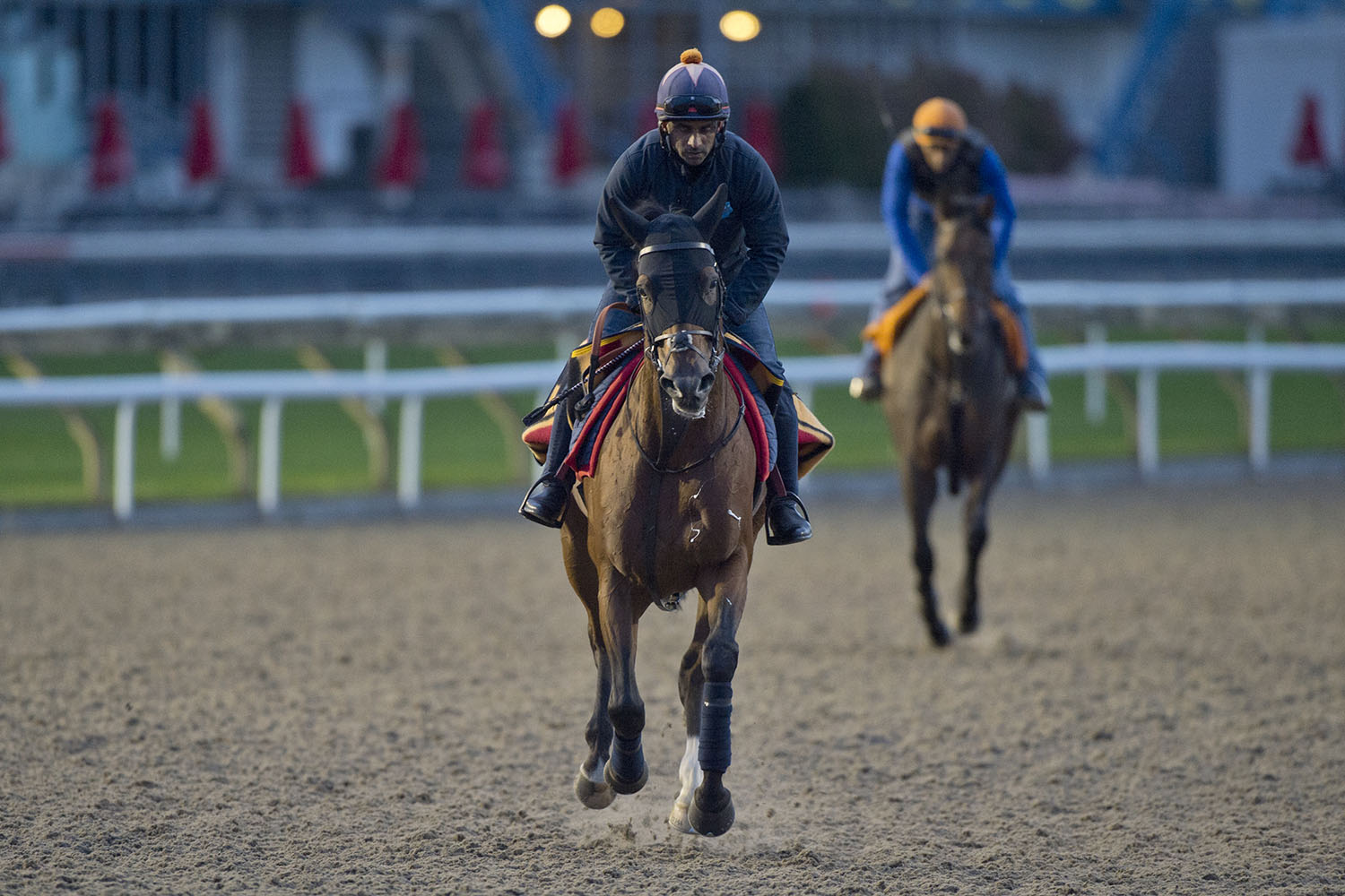 The 82nd running of the Pattison Canadian International set for Saturday
