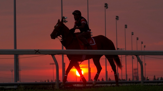 Ontario Racing Encourages Industry Feedback on Long Term Funding