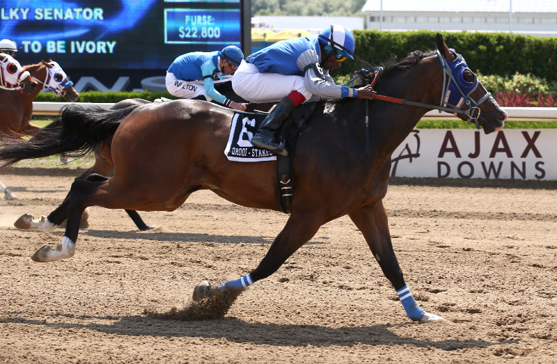 Packed grandstand for Father's Day Quarter Horse Racing