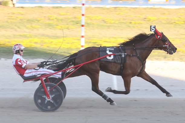 OSS trotters rewrite Grand River Raceway record book