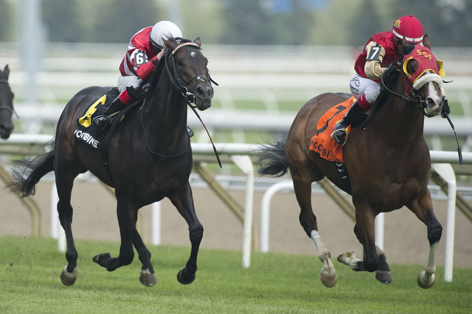 Ricoh Woodbine Mile notes for Sunday, Sept. 8, 2019
