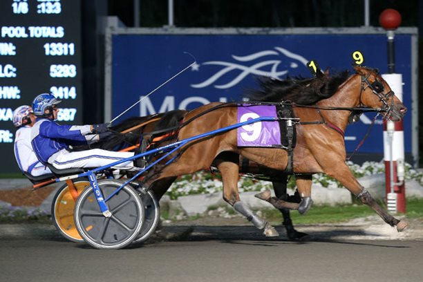 Grateful Wallace earns first Ontario Sires Stakes trophy of 2016
