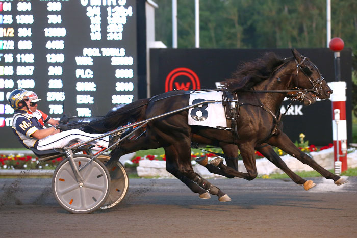 McClure sweeps freshman trotting colt Gold Series opener