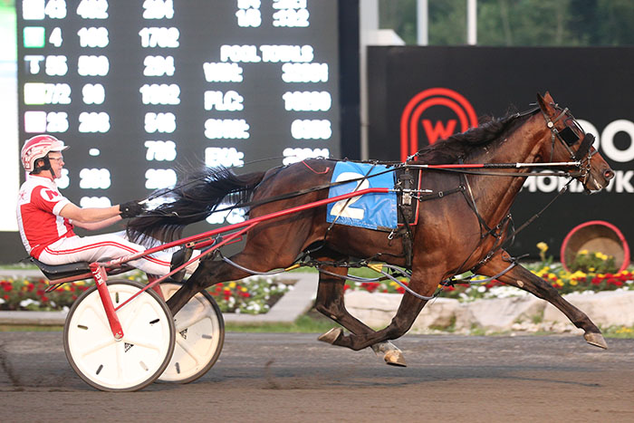 Bettor At Hightide sails to Gold Series win