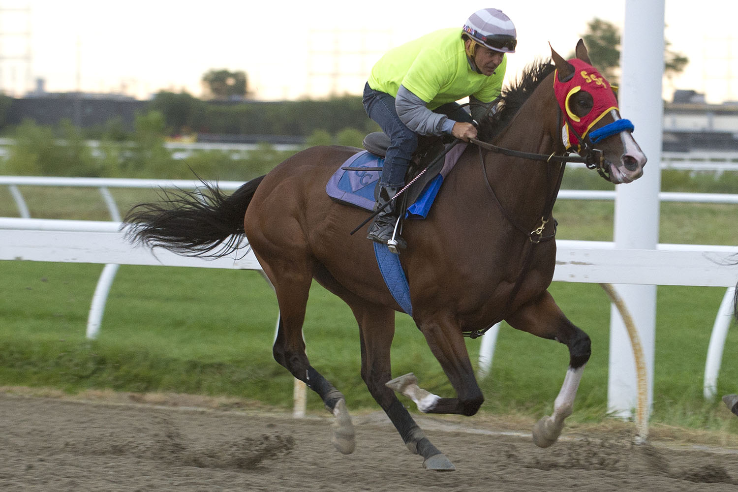 Ricoh Woodbine Mile notes for Saturday, Sept. 7, 2019