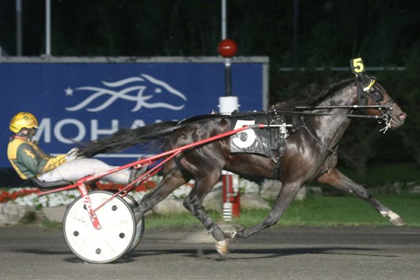 Themanofmydreams flawless through three Grassroots starts