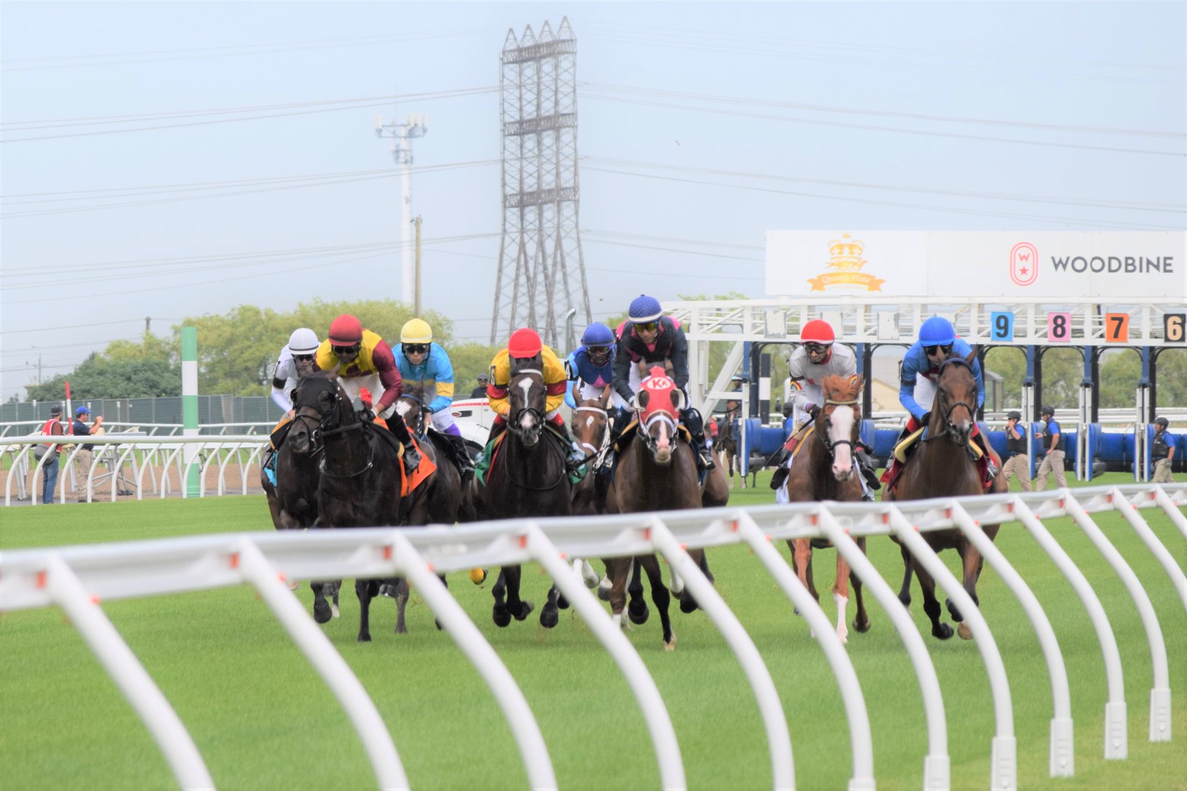 Woodbine Entertainment To Postpone Start Of 2020 Thoroughbred Season