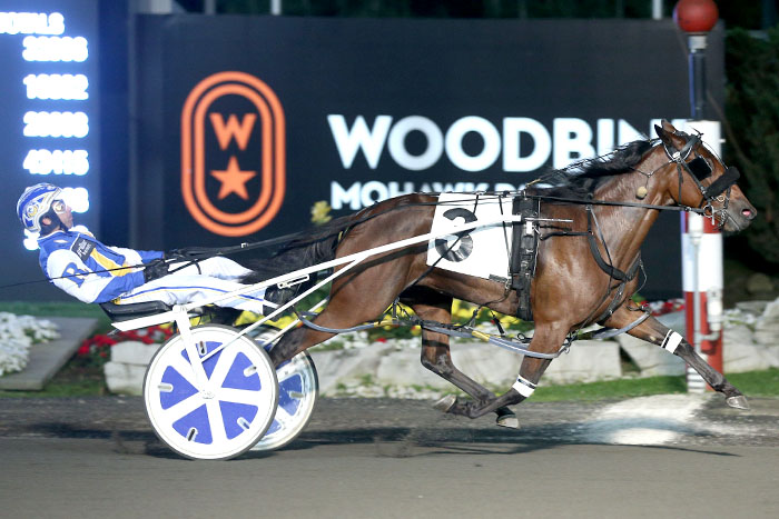 Alicorn dazzles in second record setting effort