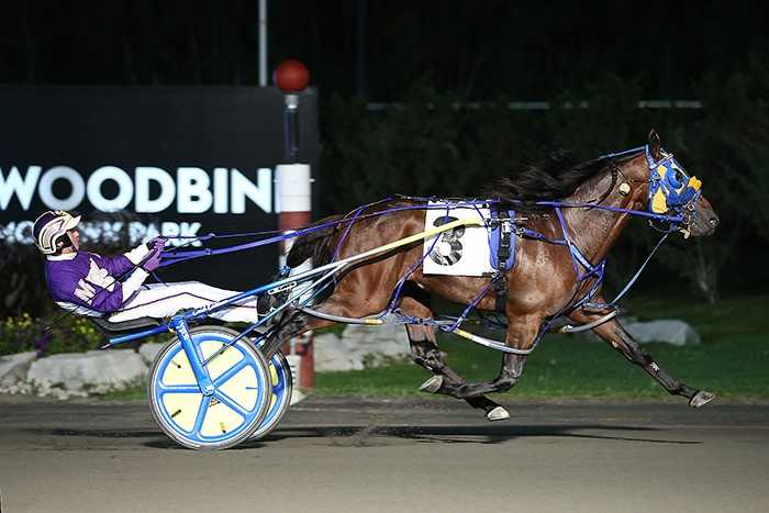 Celebration time for Stag Party in Metro