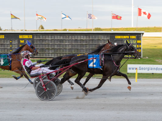 Trotting colts mix it up in second leg of Gold Series