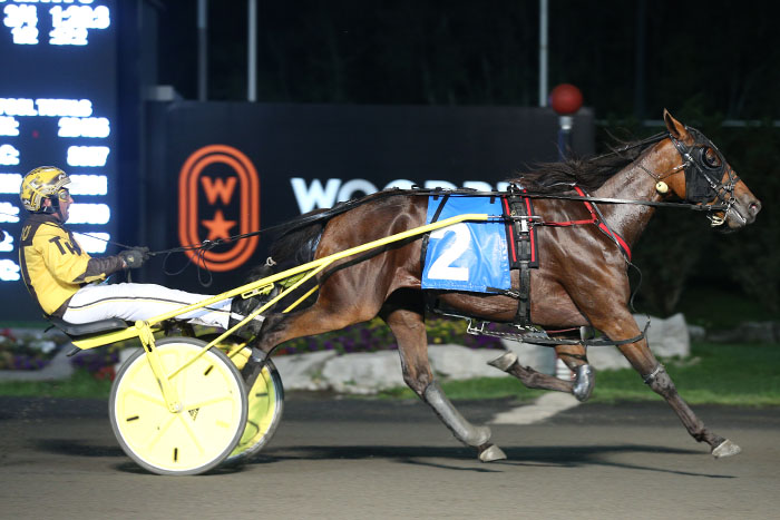 Gold wins spark reflection and celebration 